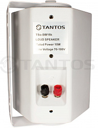 Громкоговоритель Tantos TSo-SW15k настенный
